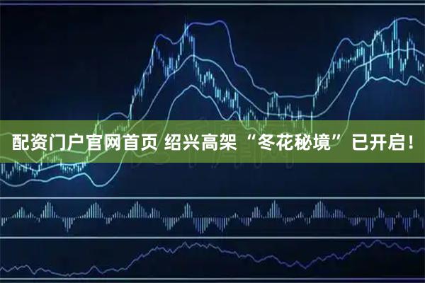 配资门户官网首页 绍兴高架 “冬花秘境” 已开启！